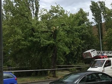 Gwałtowna burza w Tarnowie, ranni i spore zniszczenia [ZDJĘCIA INTERNAUTÓW]