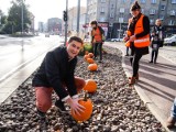 Wiceprezydent Gdańska sadził w sobotę dynie przy Galerii Bałtyckiej [ZDJĘCIA]