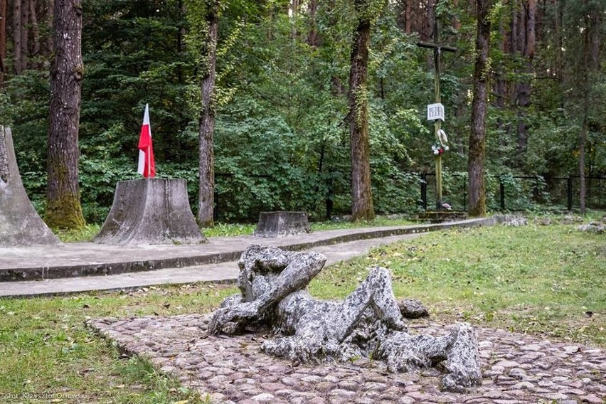 Las Bacieczkowski: Białostoczanie uczcili ofiary II wojny światowej [ZDJĘCIA]