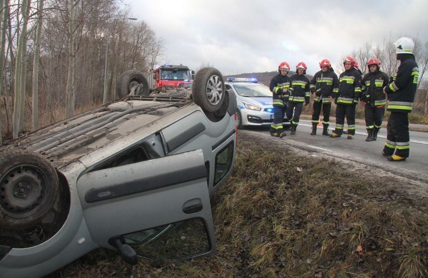 Niefortunnie zakończył podróż w podkieleckim Masłowie...