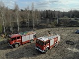 Pożary lasów i traw w województwie podlaskim. Ponad pięćdziesiąt interwencji dziennie (zdjęcia)