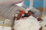 Najmniejszy noworodek w historii: maleńka Dominika je coraz więcej