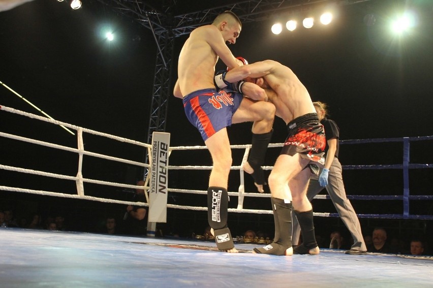 Głogowianie zdominowali Legion Fight Night [Zdjęcia Część 1]