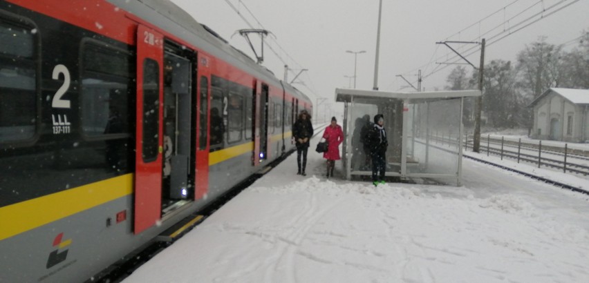 Śnieg sparaliżował komunikację miejską i kolej w Zgierzu. ZDJĘCIA