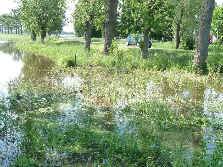 Dobrzykowice: Strażacy ciągle pompują wodę. Powiatowa droga zamknięta (ZDJĘCIA)