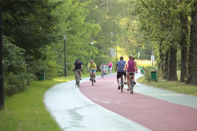 Rowerzyści na ścieżce rowerowej Parku Śląskim w Chorzowie