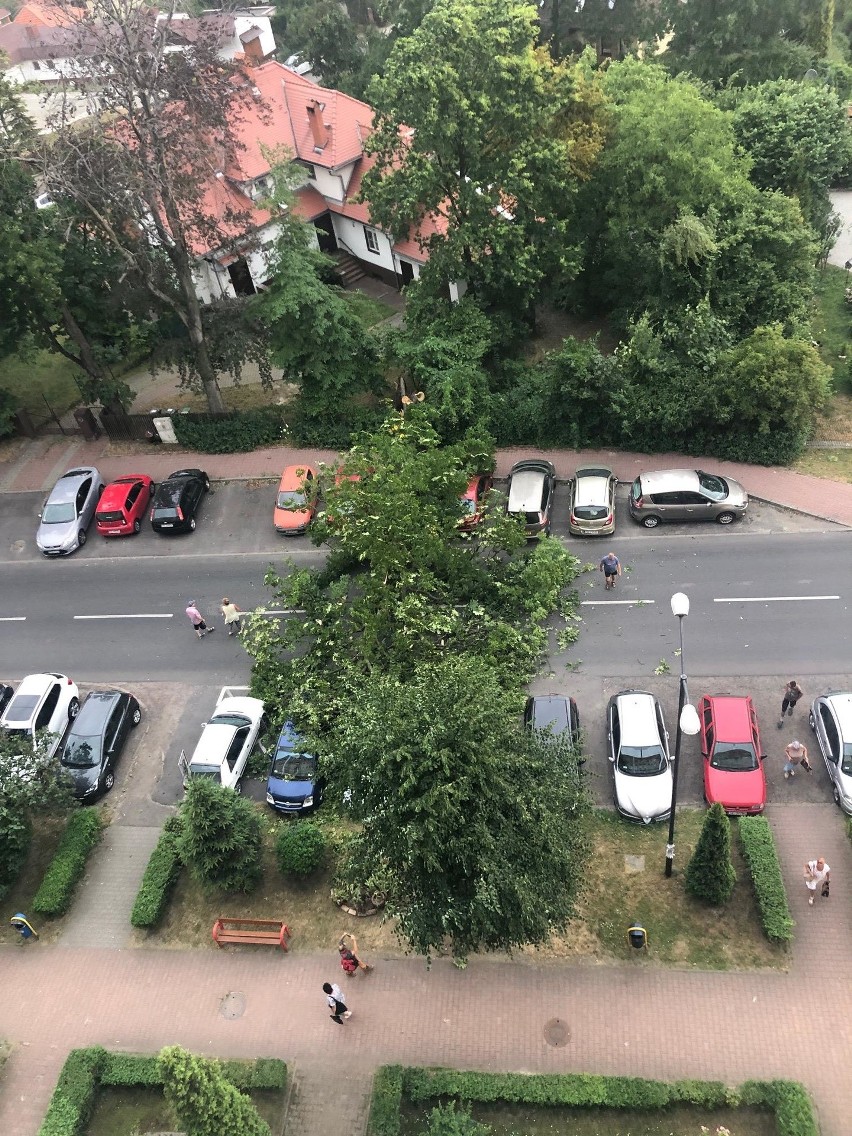 Po południu na Giszowcu przy ulicy Radosnej drzewo spadło na...