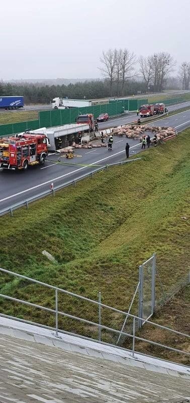 Do zdarzenia doszło wczoraj  (27 styczeń) na drodze...