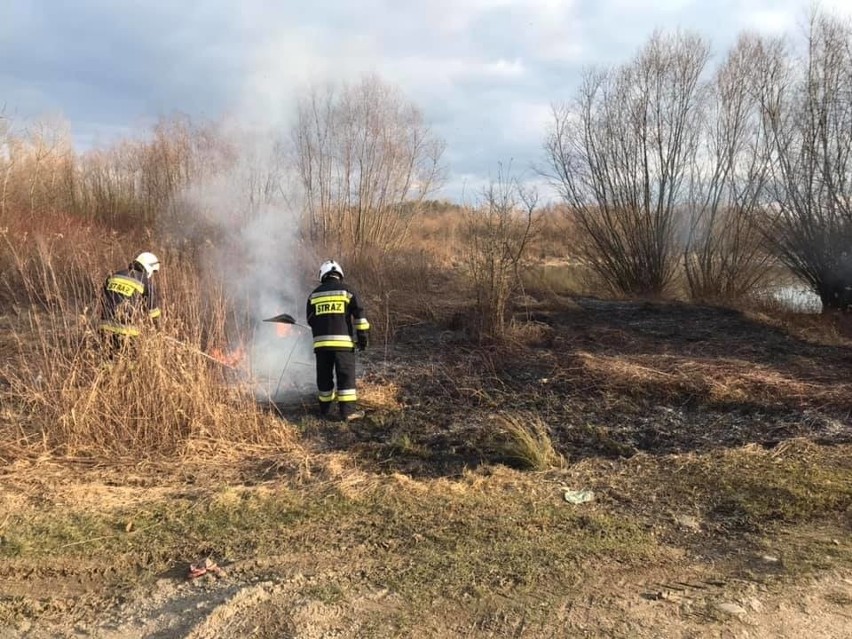 Strażacy z Bobrownik Wielkich gasili pożar traw przy Dunajcu