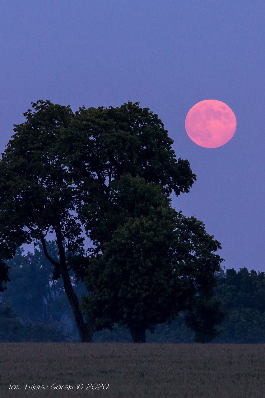 Truskawkowy Księżyc na Pomorzu [5.05.2020]. Niesamowite zjawisko atmosferyczne na niebie! Czekamy na Wasze zdjęcia 