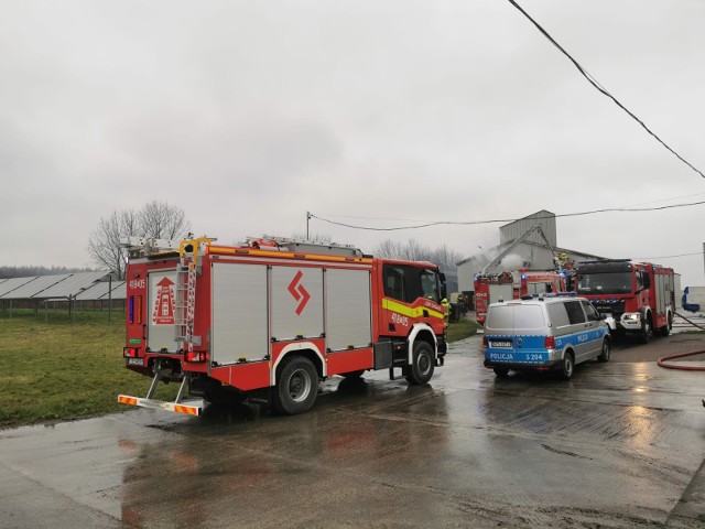 Pożar suszarni w Wilanowie koło Jędrzejowa.