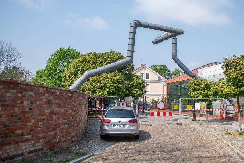 Kto w ostatnich dniach wybrał się na spacer na Ostrów...