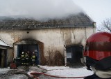 Pożar warsztatu w Goli Grodkowskiej. Spłonęło auto (zdjęcia)
