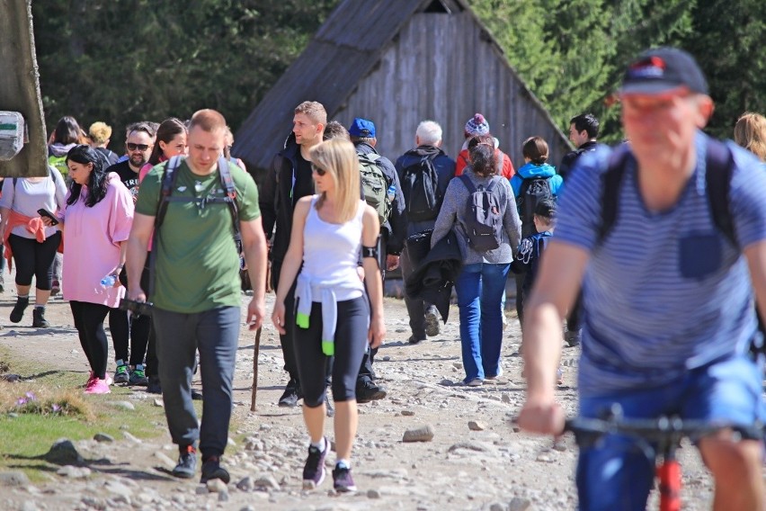 "Nigdy więcej na krokusy do Doliny Chochołowskiej". Polacy dali popis kultury