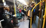 Poznań: Strażnicy miejscy sprawdzali, kto jeździ komunikacją bez maseczki. Jeden z pasażerów trafił do aresztu