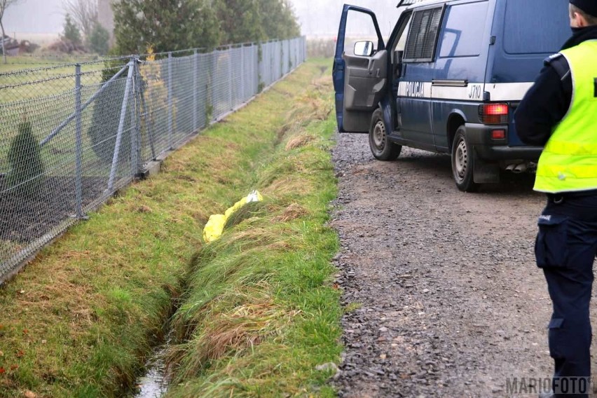 Tragedia na os. Malina w Opolu. W rowie znaleziono ludzkie...