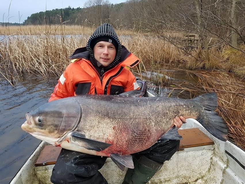 Adam Chojnacki z Gorzowa, złowił naprawdę sporych rozmiarów...