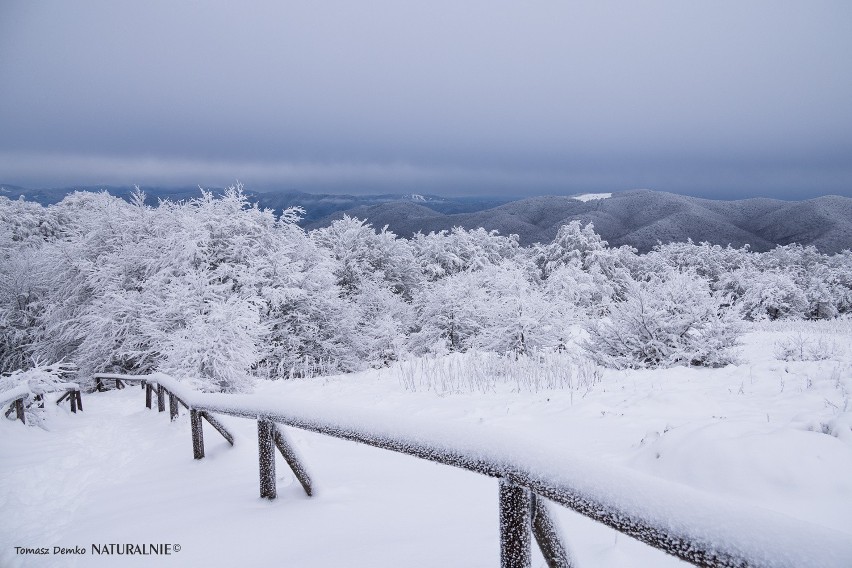 Piękna zima w Bieszczadach. Zobacz bajkowe zdjęcia ze szlaku z Wołosatego na Tarnicę 