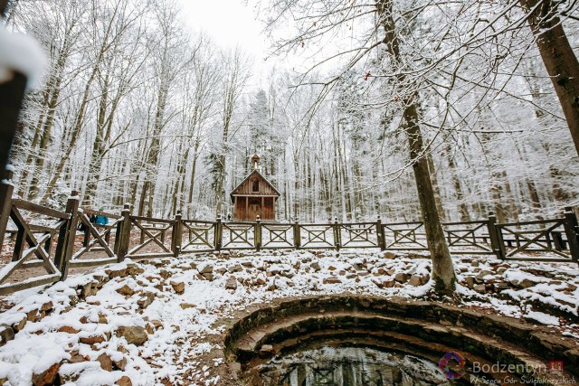Pierwszy śnieg, który spadł w niedzielę, 30 listopada sprawił, że Góry Świętokrzyskie i Świętokrzyski Park Narodowy wyglądają jeszcze piękniej niż zazwyczaj i ma się ochotę na wspaniałe, białe Święta Bożego Narodzenia. Na kolejnych slajdach zobaczcie magiczne zdjęcia naszego regionu w obiektywie Tomasza Fąfary z E-Bodzentyn.plZOBACZ NIEZWYKŁE FOTOGRAFIE>>>