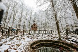 Góry Świętokrzyskie i Świętokrzyski Park Narodowy w zimowej scenerii. Zobaczcie zdjęcia pełne magii