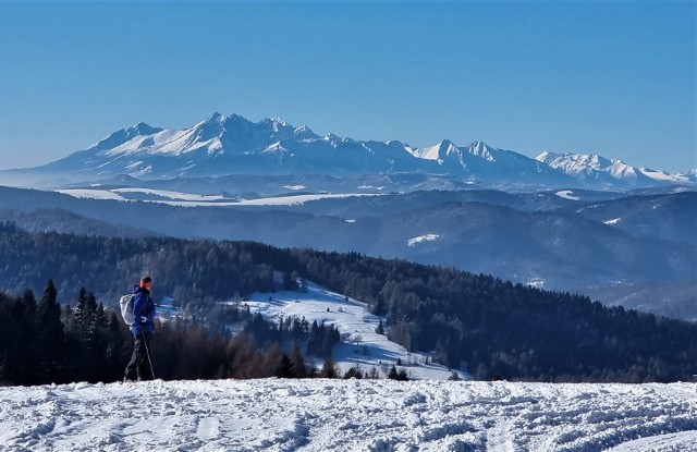 Z wielu miejsc w Beskidzie Sądeckim można podziwiać panoramę ośnieżonych szczytów Tatr