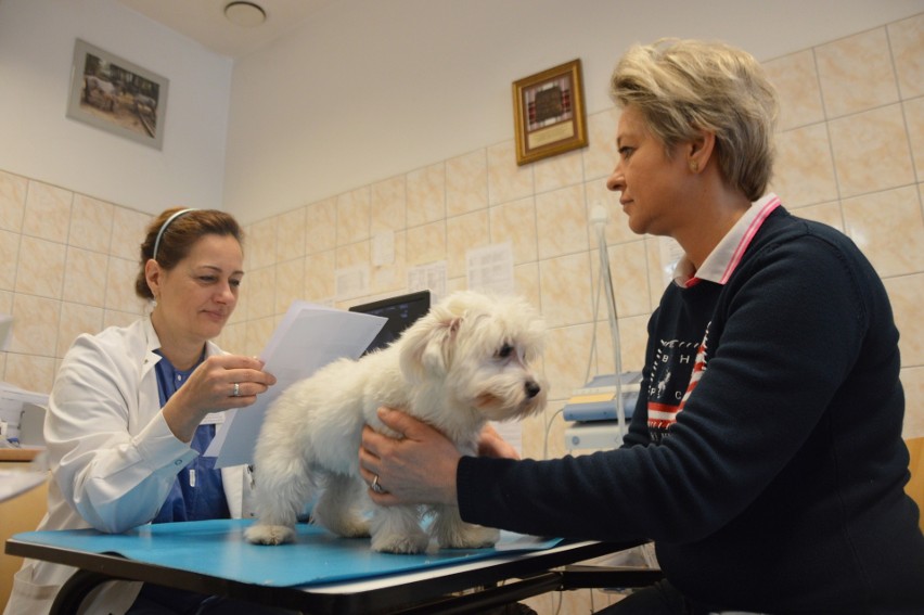 Nelly ryzykowną operację przeszła w czwartek. Na zbieg...