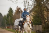 Poniedziałkowy Poranny: Na koniu jedzie do Ziemi Świętej. Potem Afryka