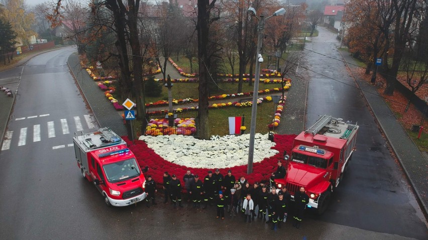 Rynek w Nowej Górze ozdobiły tysiące chryzantem. Sprowadziła...