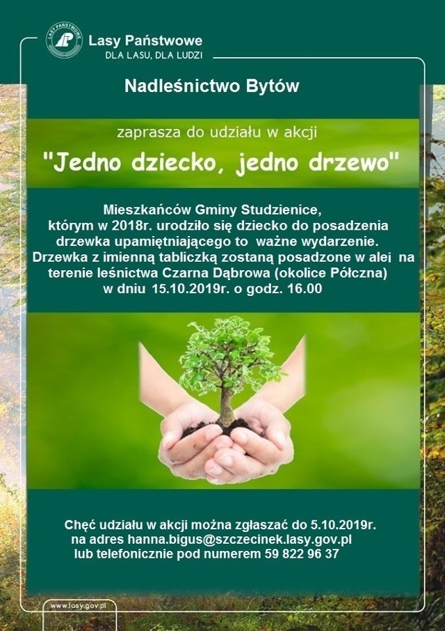 Już wkrótce akcja sadzenia drzew w Studzienicach.