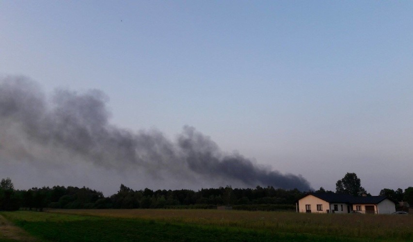 Dym nad Wsolą i Józefowem. Mieszkańcy alarmują straż pożarną 