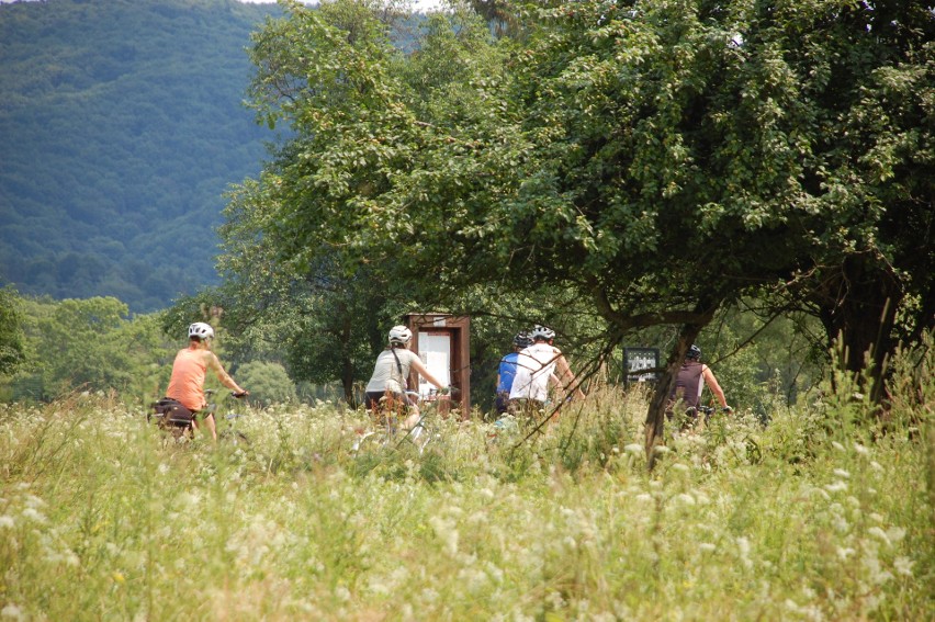 Turyści w Magurskim Parku Narodowym