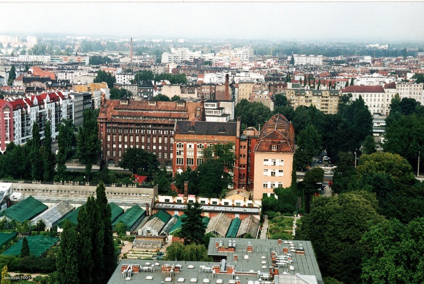 Widok z wieży Katedry