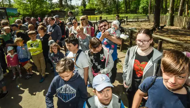 Przez całe wakacje w Myślęcinku na dzieci czeka cykl weekendowych spotkań animacyjnych w Parku Rozrywki oraz gry terenowe i spotkania edukacyjne w zoo.