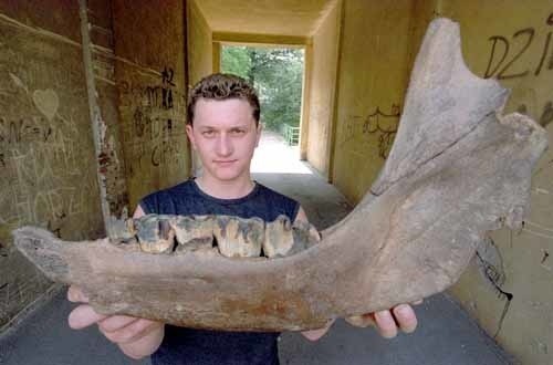 Zagraniczni eksperci stwierdzili, że czaszka nosorożca jest warta ok. 90 tys. dolarów - mówi Drozd.