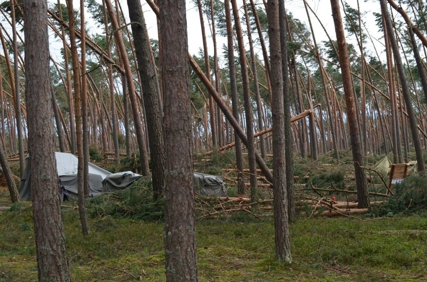 Tragedia w Suszku na Pomorzu. Zginęli harcerze z Łódzkiego