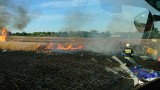Potężny ogień! Strażacy walczyli z pożarem zboża we wsi Brzezie koło Sulechowa