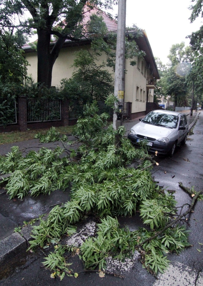 Burza we Wrocławiu: Silny wiatr łamał drzewa. Strażacy usuwają skutki nawałnicy (ZDJĘCIA)