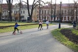 Nowy Sącz. Wiosenne kwiaty i tłumy w kolejkach przed lodziarniami. Oto wiosna w mieście [ZDJĘCIA]