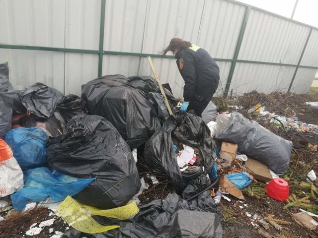 Strażnicy miejscy w trakcie patrolu znaleźli wyrzuconą sporą liczbę worków z odpadami remontowymi przy ulicy Staropoznańskiej na terenie PSZOK