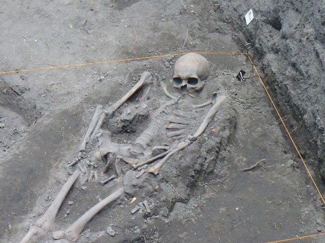 Archeolodzy wykopali ponad 75 grobów.