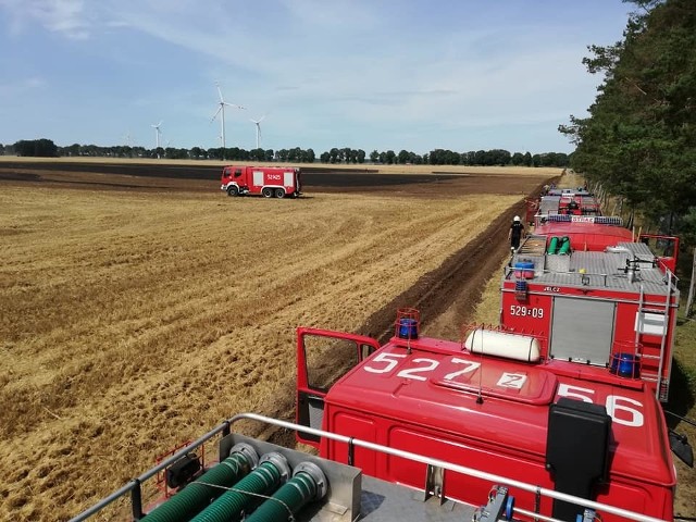 Niedaleko Tychowa (gmina Sławno) doszło do groźnego pożaru ścierniska. W akcji gaśniczej brało łącznie udział 7 zastępów Straży Pożarnej. - Pożar wybuchł w godzinach popołudniowych. Ogień strawił 4 hektary ścierniska. Zagrożony pożarem był las, ale na szczęście strażakom udało się opanować sytuację - mówi. bryg. Dariusz Szperlak, zastępca Komendanta Powiatowego Państwowej Straży Pożarnej w Sławnie. Łącznie w akcji brało udział siedem wozów strażackich, w tym. m.in. OSP Wrześnica, OSP Sławsko, OSP Żukowo i OSP Janiewice. Zadysponowany został również śmigłowiec gaśniczy. Zobacz także: Mamo! Tato! Jedziemy na wakacje! Wspólna akcja policji i straży pożarnej w Koszalinie