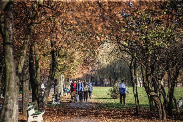 Zdjęcie w Dolinie Trzech Stawów