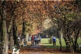 Tłoczno w Dolinie Trzech Stawów. Mieszkańcy wypoczywali w piękny sobotni dzień. Tu nie trzeba zasłaniać ust i nosa