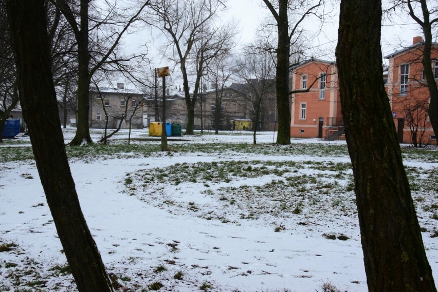 Niewielki skwer przy ulicy Poznańskiej w Inowrocławiu....