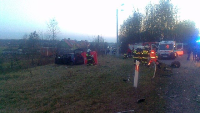 Do wypadku doszło na DK 46 w Malerzowicach Wielkich.