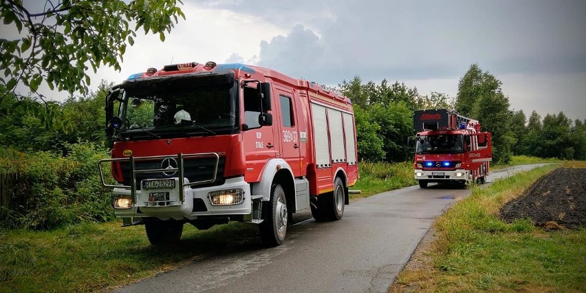 Oderwana gałąź uszkodziła dach domu w Stalach. Interweniowali strażacy (ZDJĘCIA)