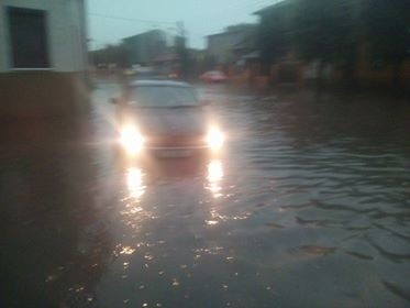 Burza w Łodzi. Nawałnica nad Łodzią. Powalone drzewa, gałęzie na drogach, zalane ulice [ZDJĘCIA]