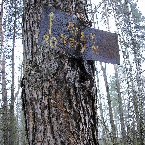 Edmund Danowski  wysoko na drzewie przybił tabliczkę z napisem &#8222;Mały Katyń&#8221;. Celowo wysoko, bo &#8222;escecy&#8221; zrywali.