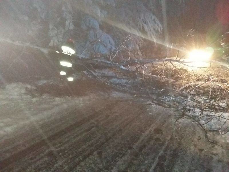 Zatarasowany wjazd do Krynicy. Drzewa połamały się pod ciężarem śniegu [ZDJĘCIA]