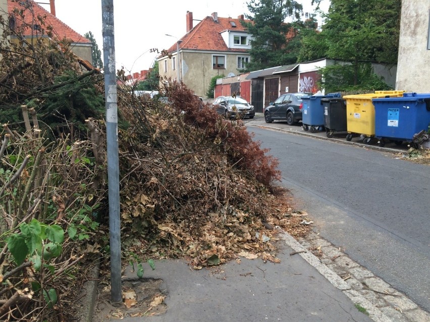 Tak wyglądają chodniki na Sępolnie po tym, gdy wynajęta...